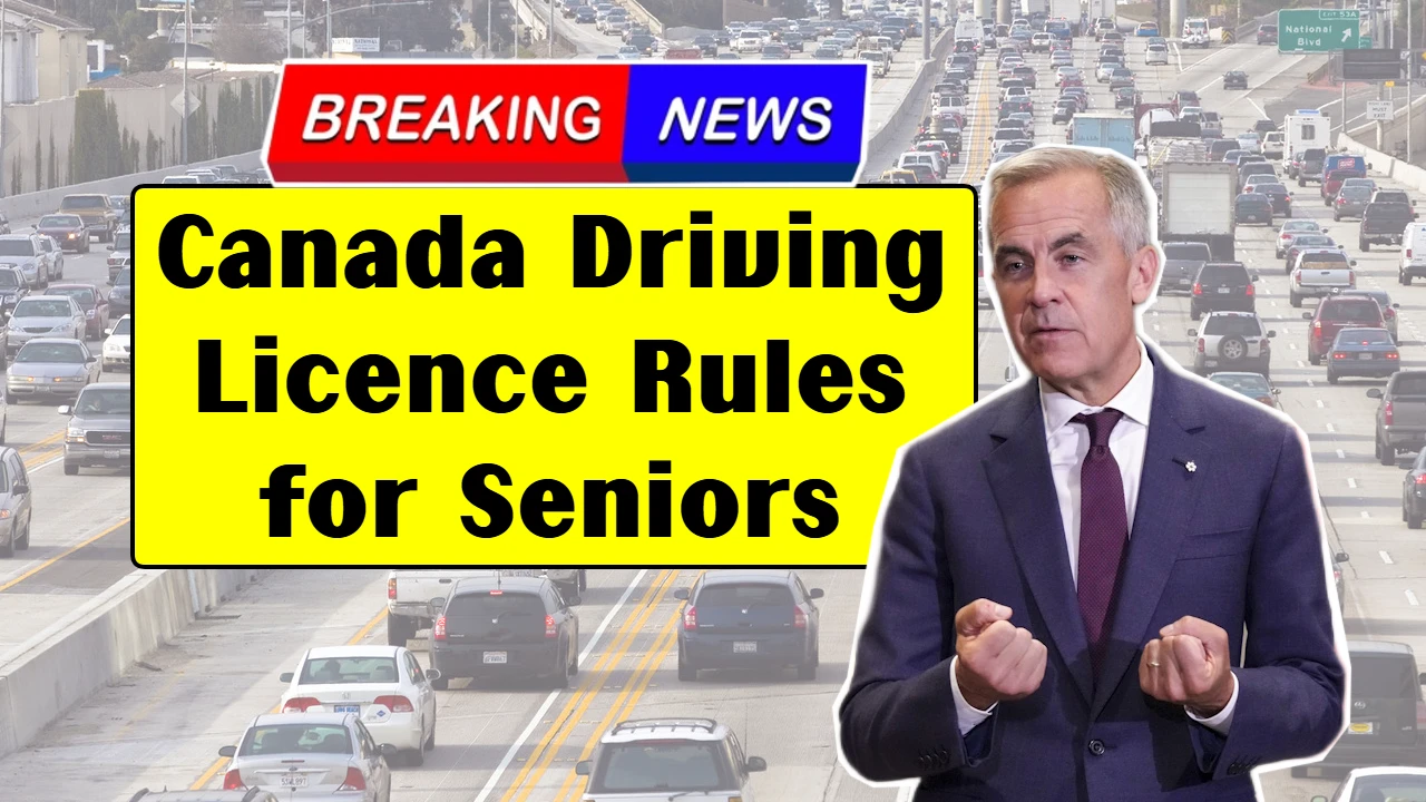Canada Driving Licence Rules for Seniors